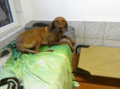 Pension_10