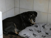 Pension_12