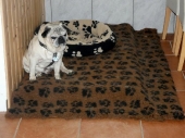 Pension_1
