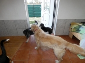 Pension_29