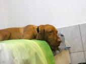 Pension_2