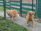 Pension_4