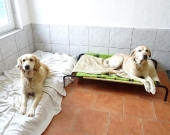 Pension_1