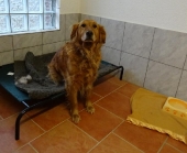 Pension_20
