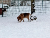 Pension_21