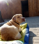Pension_24