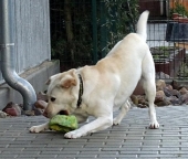Pension_25