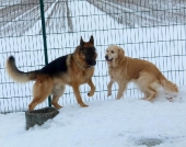Pension_2