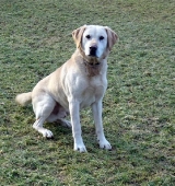 Pension_2