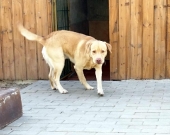 Pension_31