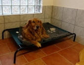 Pension_31