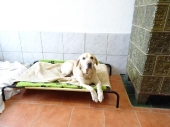 Pension_3