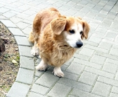 Pension_48