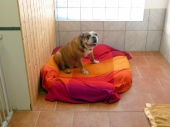 Pension_102
