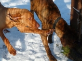 Pension_11