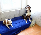 Pension_12