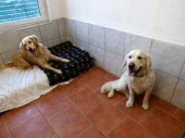 Pension_14