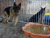 Pension_18