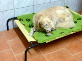 Pension_19