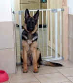 Pension_19