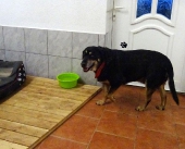 Pension_1