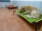 Pension_1