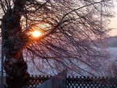 Pension_1