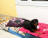Pension_21
