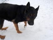 Pension_24
