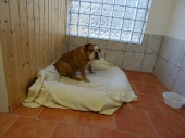 Pension_27