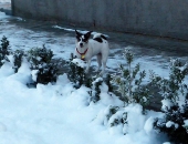 Pension_28