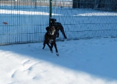 Pension_29