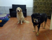 Pension_2