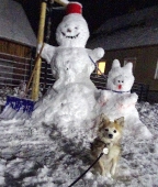 Pension_2