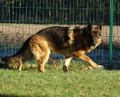 Pension_4