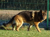 Pension_5