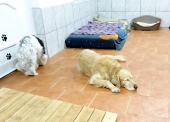 Pension_6