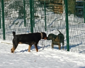 Pension_7