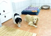Pension_7
