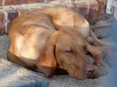 Pension_10