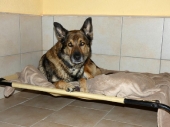 Pension_10