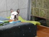 Pension_12