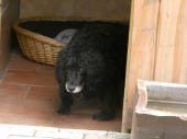 Pension_1