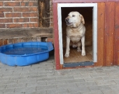 Pension_20