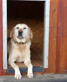 Pension_21