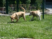 Pension_22