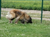 Pension_26