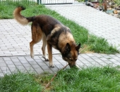 Pension_26
