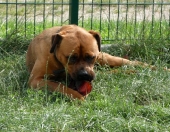 Pension_29