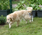 Pension_2